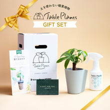 画像をギャラリービューアに読み込む, 【土を使わない観葉植物】テーブルプランツ ギフトセット(Table Plants)レザーポットカバー

