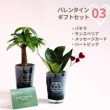 画像をギャラリービューアに読み込む, 【ValentineGIFT】土を使わない観葉植物 テーブルプランツ（Table Plants）バレンタインセット 数量限定
