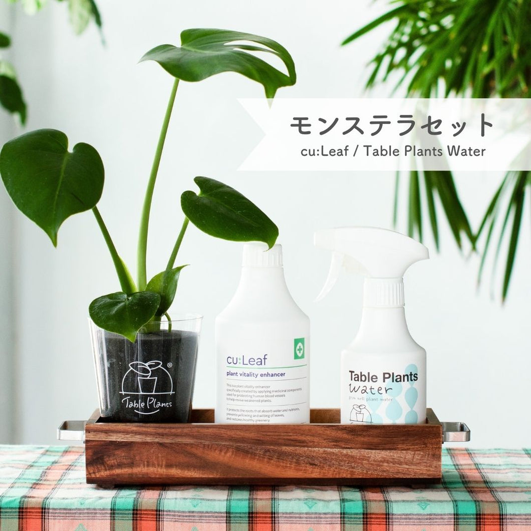 【アカシア素材ケース付き】テーブルプランツ(Table Plants) +2種の活力剤セット（cu:Leaf / Table Plants Water ）　※土を使わない観葉植物