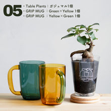 画像をギャラリービューアに読み込む, 【カンパイプランツ！】テーブルプランツ(Table Plants) ガジュマル×amabro GRIP MUG セット（土を使わない観葉植物）
