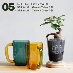 ※予約商品※【カンパイプランツ！】テーブルプランツ(Table Plants) ガジュマル×amabro GRIP MUG セット（土を使わない観葉植物） 6月上旬出荷予定