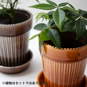 【おしゃれな植木鉢】TRONCO／Kaunis Standard陶器鉢