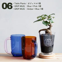 画像をギャラリービューアに読み込む, 【カンパイプランツ！】テーブルプランツ(Table Plants) ガジュマル×amabro GRIP MUG セット（土を使わない観葉植物）
