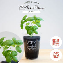 画像をギャラリービューアに読み込む, 【土を使わないハーブ】バジル　Table Plants(テーブルプランツ)
