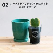 画像をギャラリービューアに読み込む, 【土を使わない観葉植物】テーブルプランツ(Table Plants)  ハートホヤ×リサイクルMIXポットセット　※数量限定
