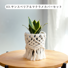 画像をギャラリービューアに読み込む, 【土を使わない観葉植物】テーブルプランツ (Table Plants) マクラメカバーセット
