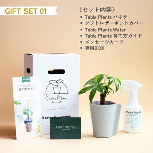 【土を使わない観葉植物】テーブルプランツ ギフトセット(Table Plants)レザーポットカバー