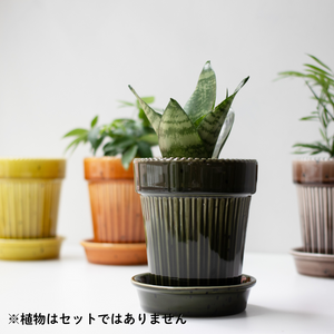 【おしゃれな植木鉢】TRONCO／Kaunis Standard陶器鉢