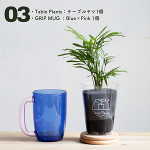 【カンパイプランツ！】テーブルプランツ(Table Plants) テーブルヤシ×amabro GRIP MUG セット（土を使わない観葉植物）