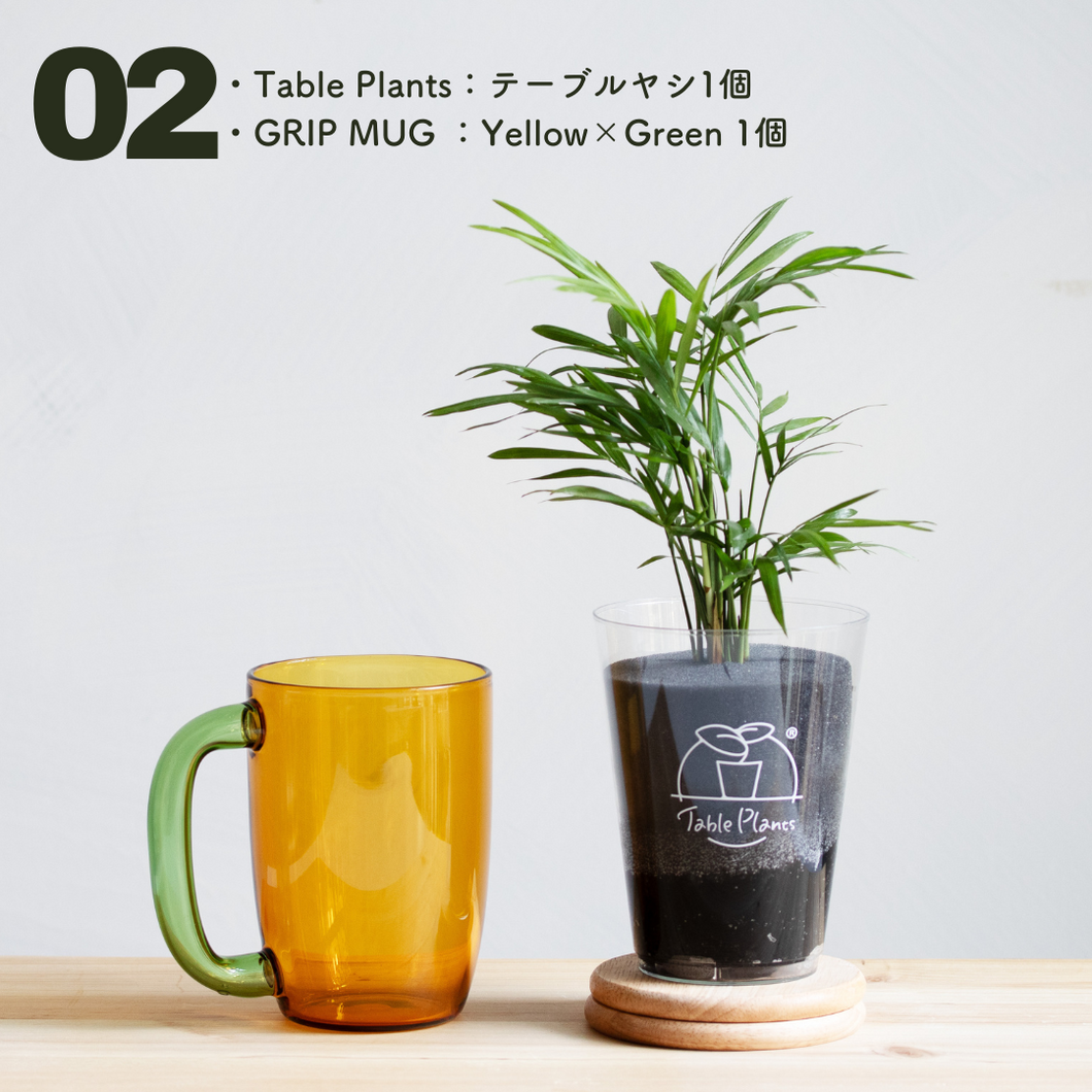 【カンパイプランツ！】テーブルプランツ(Table Plants) テーブルヤシ×amabro GRIP MUG セット（土を使わない観葉植物）