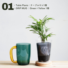 画像をギャラリービューアに読み込む, 【カンパイプランツ！】テーブルプランツ(Table Plants) テーブルヤシ×amabro GRIP MUG セット（土を使わない観葉植物）
