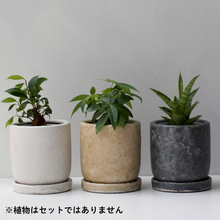 画像をギャラリービューアに読み込む, 【おしゃれな植木鉢】TRONCO／Velho陶器鉢
