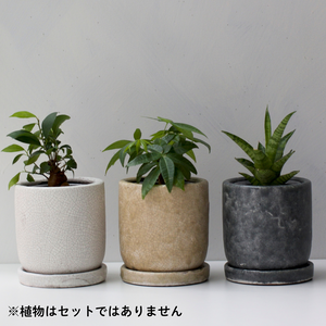 【おしゃれな植木鉢】TRONCO／Velho陶器鉢