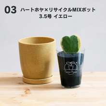 画像をギャラリービューアに読み込む, 【土を使わない観葉植物】テーブルプランツ(Table Plants)  ハートホヤ×リサイクルMIXポットセット　※数量限定
