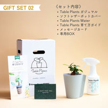 画像をギャラリービューアに読み込む, 【土を使わない観葉植物】テーブルプランツ ギフトセット(Table Plants)レザーポットカバー

