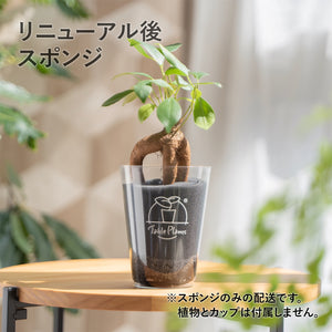 【TablePlants専用】スポンジ単品