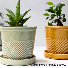 画像をギャラリービューアに読み込む, 【おしゃれな植木鉢】TRONCO／Sentir陶器鉢
