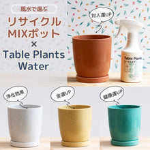 画像をギャラリービューアに読み込む, 【Table Plantsにぴったり！】リサイクルMIXポット+Table Plants Waterセット

