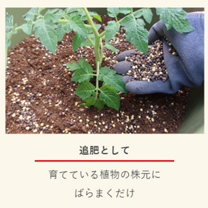 【GreenSnap特別価格】　マイガーデン植物全般用 350g （粒状肥料）※アウトレット商品