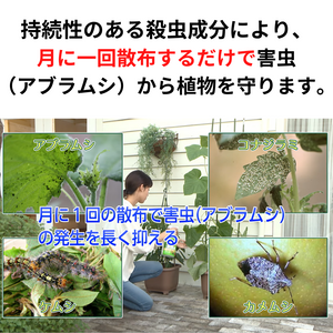 【GreenSnap特別価格】　ベニカベジフルVスプレー 420ml （殺虫殺菌剤）　※アウトレット商品