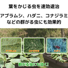 画像をギャラリービューアに読み込む, 【GreenSnap特別価格】　パイベニカVスプレー 420ml （殺虫剤）　※アウトレット商品
