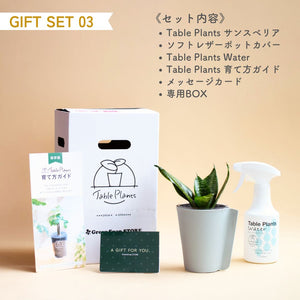 【土を使わない観葉植物】テーブルプランツ ギフトセット(Table Plants)レザーポットカバー