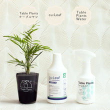 画像をギャラリービューアに読み込む, ※予約商品：10/4以降発送※テーブルプランツ(Table Plants) +2種の活力剤セット（cu:Leaf / Table Plants Water ）　※土を使わない観葉植物
