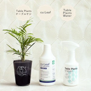 ※予約商品：10/4以降発送※テーブルプランツ(Table Plants) +2種の活力剤セット（cu:Leaf / Table Plants Water ）　※土を使わない観葉植物