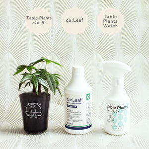 ※予約商品：10/4以降発送※テーブルプランツ(Table Plants) +2種の活力剤セット（cu:Leaf / Table Plants Water ）　※土を使わない観葉植物