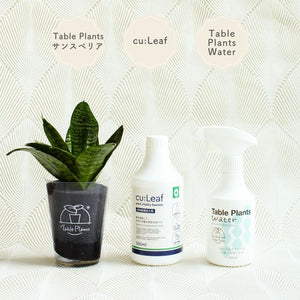 ※予約商品：10/4以降発送※テーブルプランツ(Table Plants) +2種の活力剤セット（cu:Leaf / Table Plants Water ）　※土を使わない観葉植物