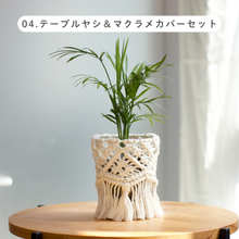 画像をギャラリービューアに読み込む, 【土を使わない観葉植物】テーブルプランツ (Table Plants) マクラメカバーセット
