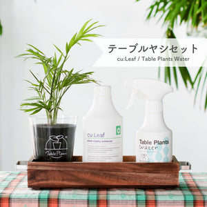 ※予約商品：10/4以降発送※【アカシア素材ケース付き】テーブルプランツ(Table Plants) +2種の活力剤セット（cu:Leaf / Table Plants Water ）　※土を使わない観葉植物