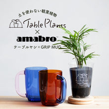 画像をギャラリービューアに読み込む, 【カンパイプランツ！】テーブルプランツ(Table Plants) テーブルヤシ×amabro GRIP MUG セット（土を使わない観葉植物）
