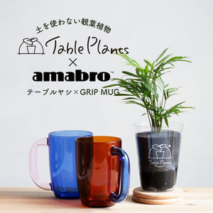 ※予約商品※【カンパイプランツ！】テーブルプランツ(Table Plants) テーブルヤシ×amabro GRIP MUG セット（土を使わない観葉植物） 6月上旬出荷予定