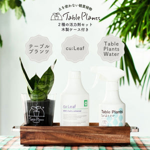 ※予約商品：10/4以降発送※【アカシア素材ケース付き】テーブルプランツ(Table Plants) +2種の活力剤セット（cu:Leaf / Table Plants Water ）　※土を使わない観葉植物