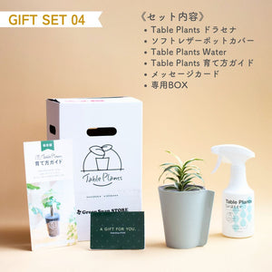 【土を使わない観葉植物】テーブルプランツ ギフトセット(Table Plants)レザーポットカバー