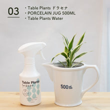 画像をギャラリービューアに読み込む, 【土を使わない観葉植物】 テーブルプランツ(Table Plants) ポーセリンジャグ+Waterセット
