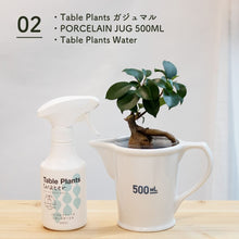 画像をギャラリービューアに読み込む, 【土を使わない観葉植物】 テーブルプランツ(Table Plants) ポーセリンジャグ+Waterセット
