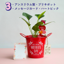 画像をギャラリービューアに読み込む, 【母の日ギフト】土を使わない観葉植物 テーブルプランツ(Table Plants)アンスリウム×ブリキポットセット
