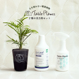 ※予約商品：10/4以降発送※テーブルプランツ(Table Plants) +2種の活力剤セット（cu:Leaf / Table Plants Water ）　※土を使わない観葉植物