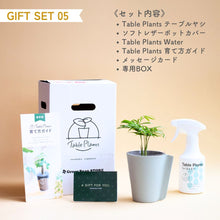 画像をギャラリービューアに読み込む, 【土を使わない観葉植物】テーブルプランツ ギフトセット(Table Plants)レザーポットカバー
