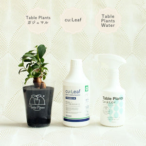 ※予約商品：10/4以降発送※テーブルプランツ(Table Plants) +2種の活力剤セット（cu:Leaf / Table Plants Water ）　※土を使わない観葉植物