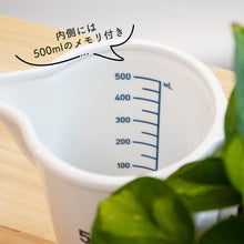 画像をギャラリービューアに読み込む, 【土を使わない観葉植物】 テーブルプランツ(Table Plants) ポーセリンジャグ+Waterセット
