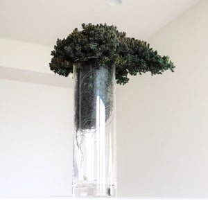 ドライ盆栽® ガラス花器 組み立てキット　円柱型中サイズ（緑）　