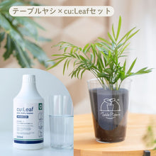 画像をギャラリービューアに読み込む, 【土を使わない観葉植物】テーブルプランツ(Table Plants)×cu:Leaf®(キュリーフ)500mlセット
