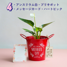 画像をギャラリービューアに読み込む, 【母の日ギフト】土を使わない観葉植物 テーブルプランツ(Table Plants)アンスリウム×ブリキポットセット
