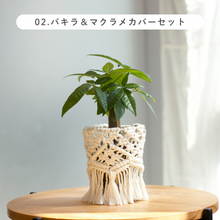画像をギャラリービューアに読み込む, 【土を使わない観葉植物】テーブルプランツ (Table Plants) マクラメカバーセット
