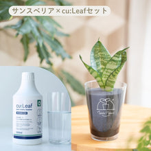 画像をギャラリービューアに読み込む, 【土を使わない観葉植物】テーブルプランツ(Table Plants)×cu:Leaf®(キュリーフ)500mlセット
