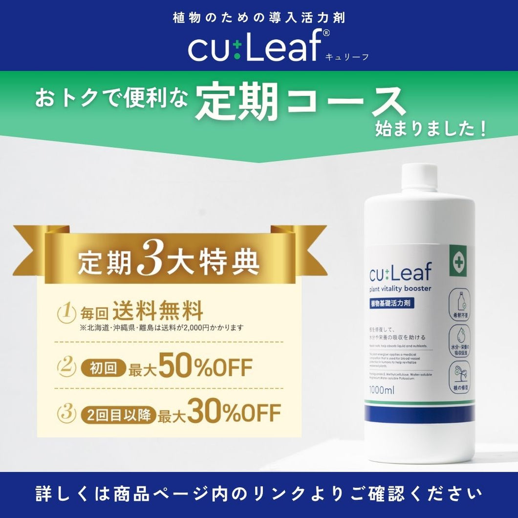 【定期便専用ページ】cu:Leaf®（キュリーフ） 1000ml