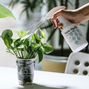【Table Plantsにぴったり！】リサイクルMIXポット+Table Plants Waterセット